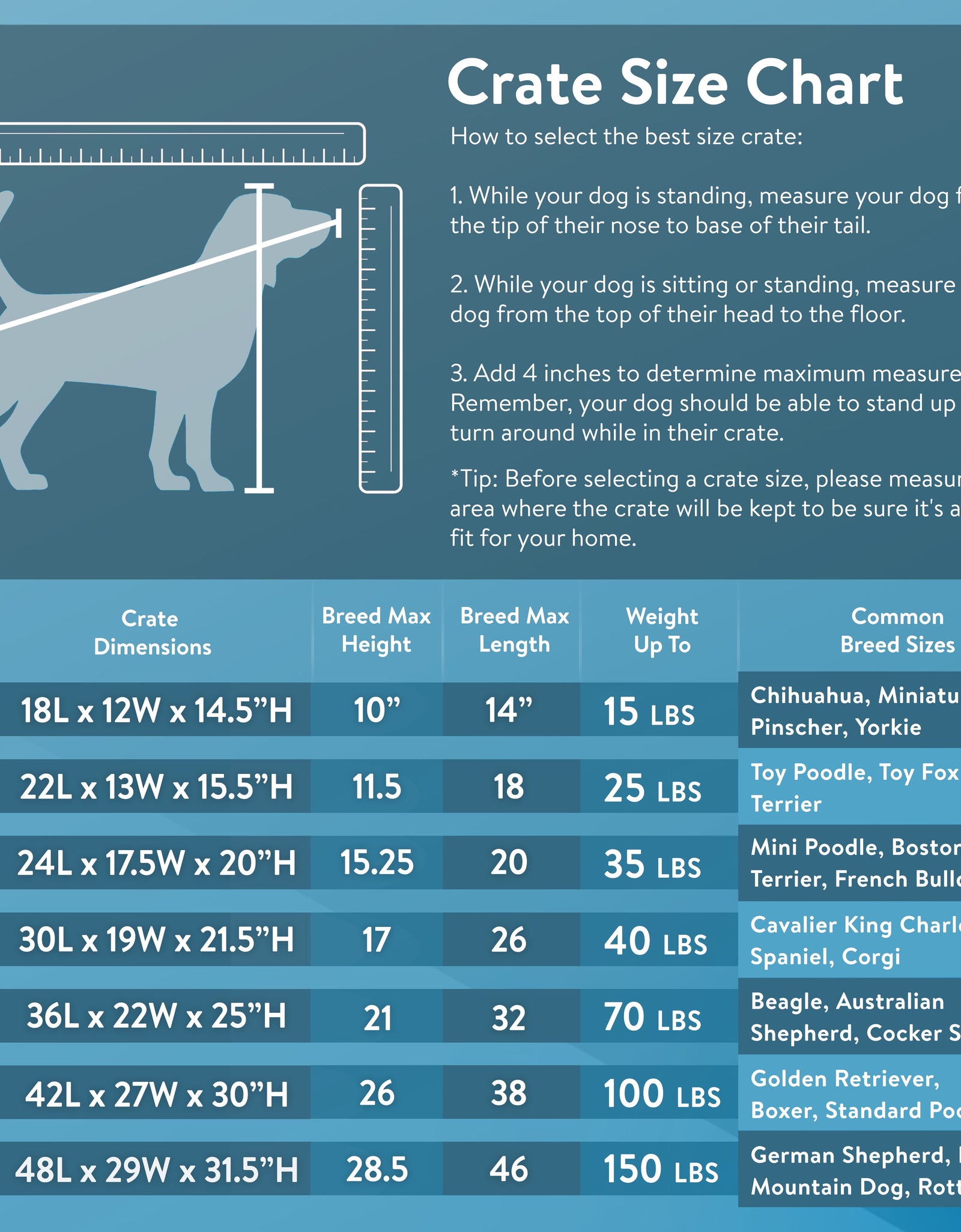 Foldable 48" Wire Crate for Dogs with Divider and Leak-Proof Tray