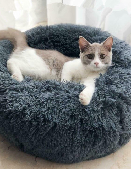 Load image into Gallery viewer, Dog Beds for Small Dogs round Plush Cat Litter Kennel Pet Nest Mat Puppy Beds
