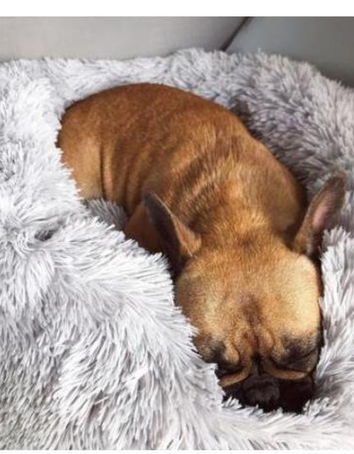 Load image into Gallery viewer, Dog Beds for Small Dogs round Plush Cat Litter Kennel Pet Nest Mat Puppy Beds
