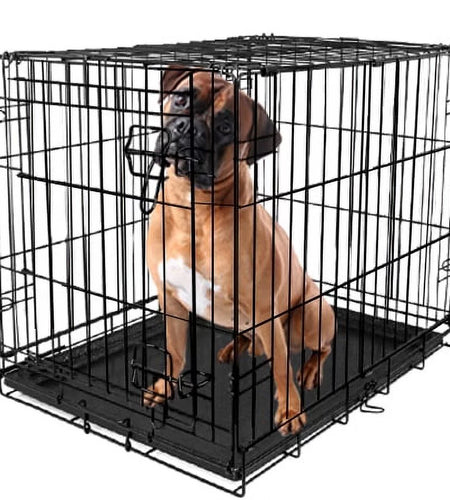 Foldable 48" Wire Crate for Dogs with Divider and Leak-Proof Tray